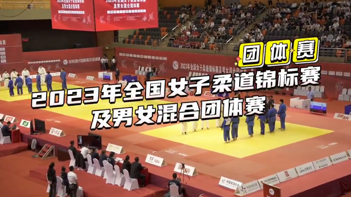 团体赛回顾视频